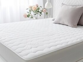 Tempur Pedic Cloud Mattress