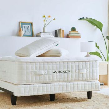 Avocado Green Mattress